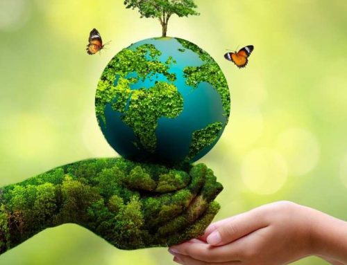 “Embracing the Green: Celebrating World Environment Day with Eco-Friendly Initiatives!”